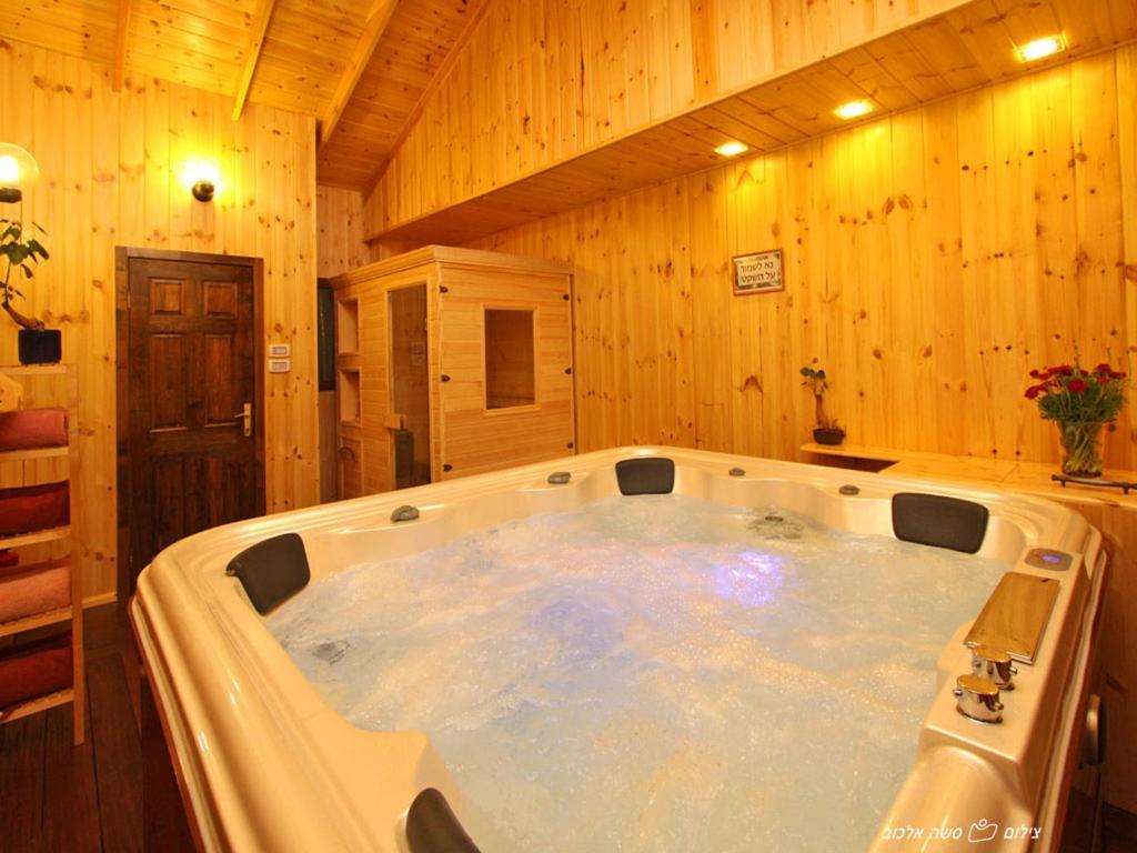 Suites & Spa Galilee Qiryat Shemona Buitenkant foto